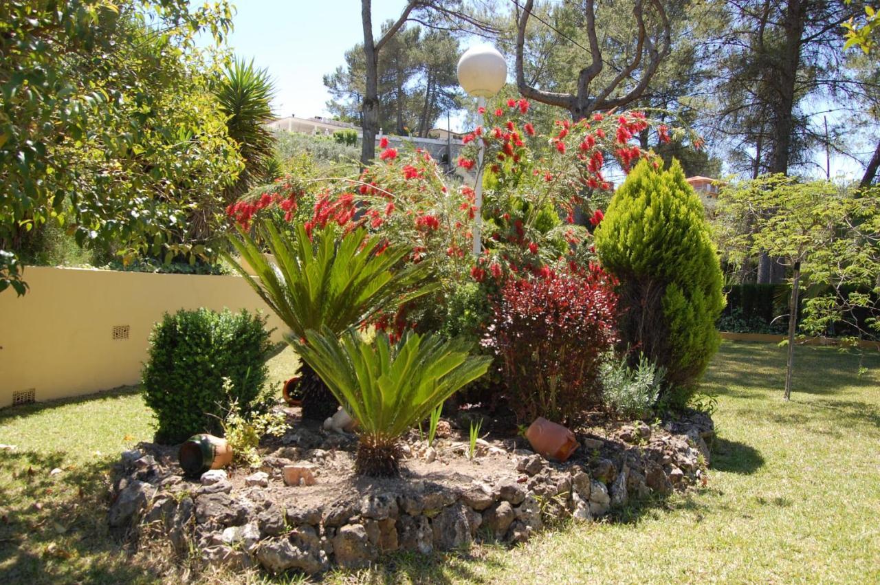 Wonderful Villa, Heated Pool, Near Beautiful Town Alboy ภายนอก รูปภาพ