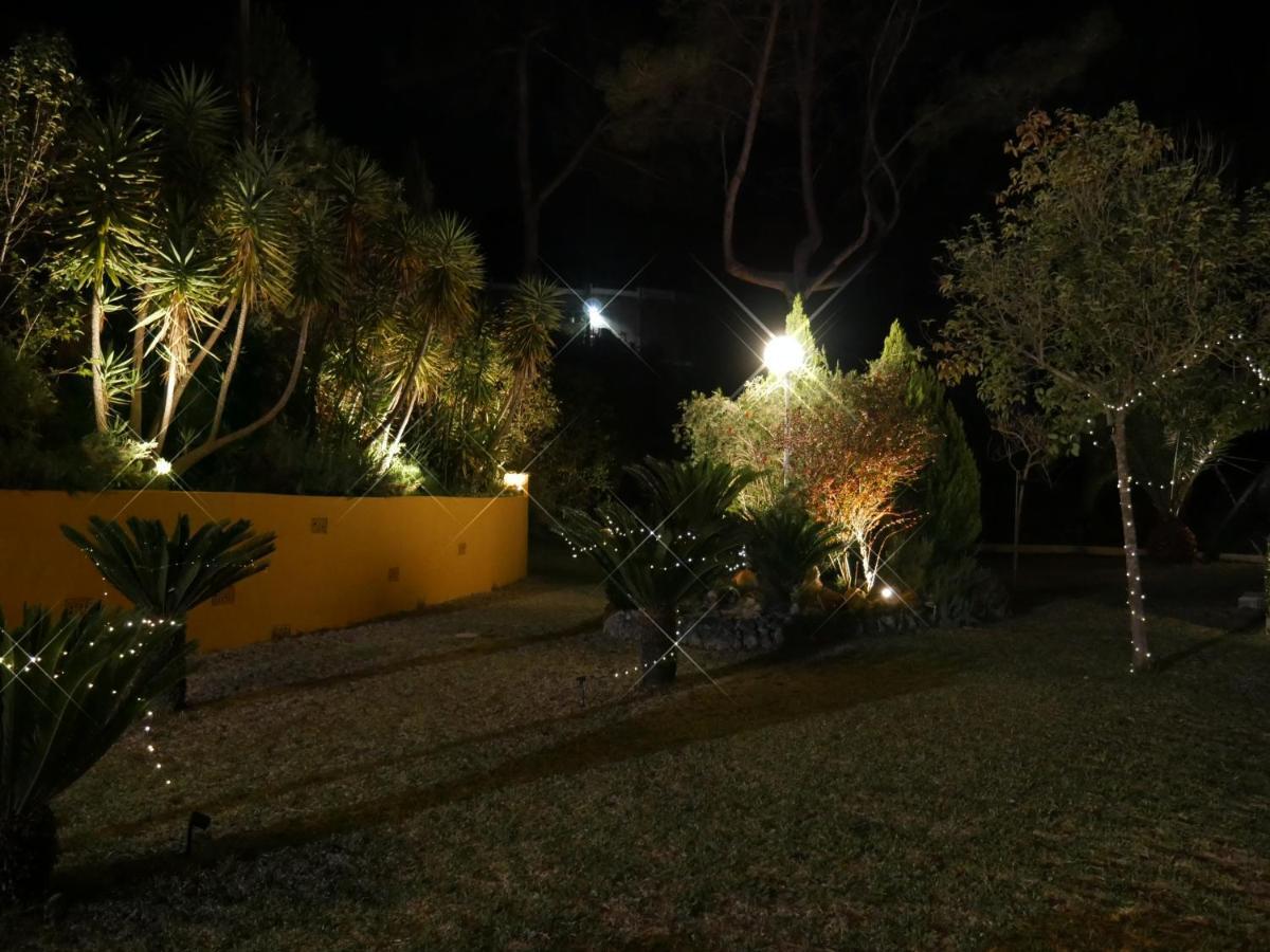 Wonderful Villa, Heated Pool, Near Beautiful Town Alboy ภายนอก รูปภาพ
